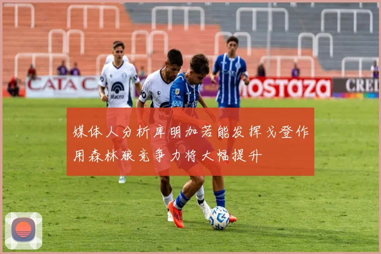 媒体人分析库明加若能发挥戈登作用森林狼竞争力将大幅提升